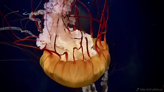 Snapshot of streamy_test12 chatting on February 4, 2025, 8:13 am streamy test12 online show from February 4, 2025, 8:13 am