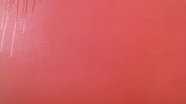 Freyja eter online show from October 17, 2025, 2:19 pm