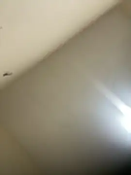 Snapshot of Malandralle chatting on February 21, 2026, 12:01 am Malandralle online show from February 21, 2026, 12:01 am