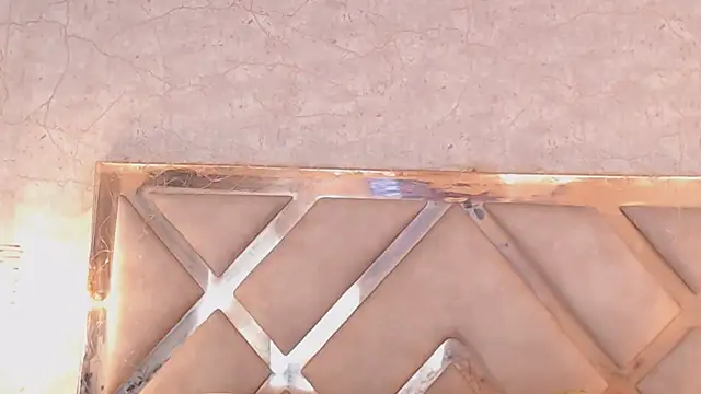 JoannaStanford online show from March 19, 2025, 2:27 am