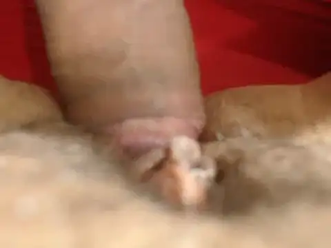 lolamike19 online show from November 18, 2025, 10:29 am