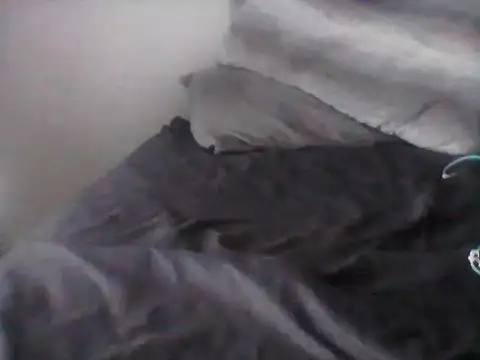 Snapshot of bogbosdick chatting on March 12, 2026, 12:31 pm bogbosdick online show from March 12, 2026, 12:31 pm