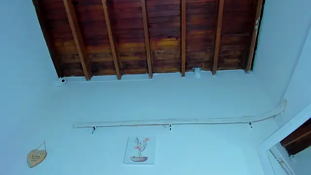 valen rose0 online show from February 19, 2025, 12:11 pm