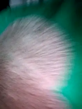 Haralushiaaa online show from December 4, 2025, 11:59 pm