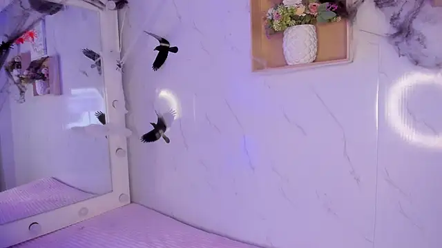 sabrinahimss online show from October 29, 2025, 4:33 am