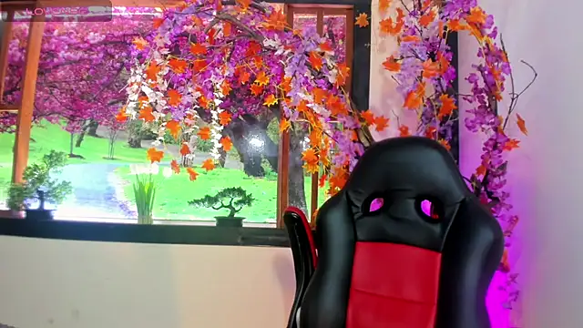 Susan DiSantys online show from February 25, 2025, 1:41 am