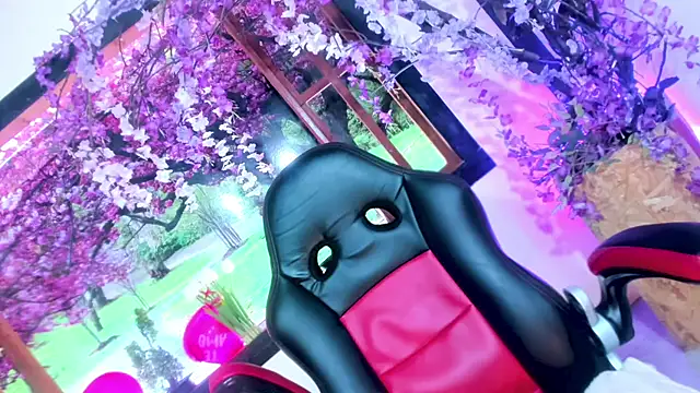 Susan DiSantys online show from February 15, 2025, 10:52 pm