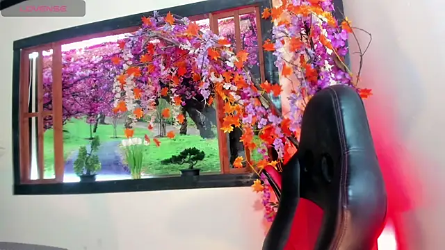 Susan DiSantys online show from February 26, 2025, 10:26 pm