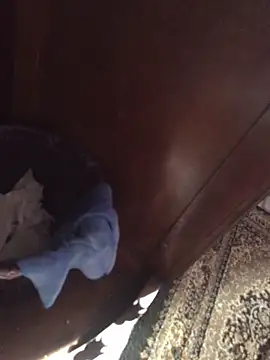 TangoingSorbet online show from November 2, 2025, 10:20 am