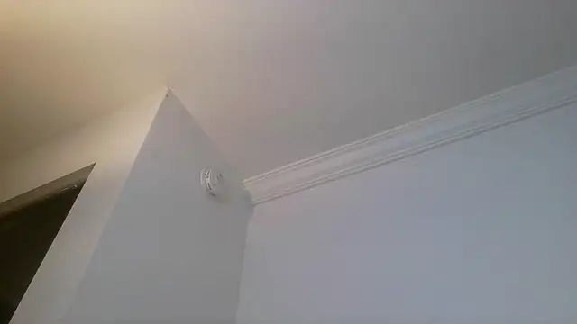 mochi rainbow online show from April 26, 2026, 5:16 am