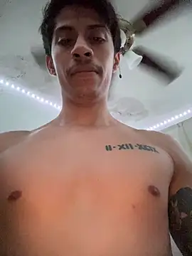 Snapshot of culitotragon24 chatting on February 21, 2026, 4:25 am culitotragon24 online show from February 21, 2026, 4:25 am