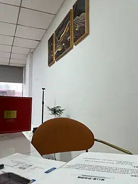 Efangfang online show from October 28, 2025, 8:35 am