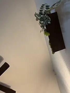 goldbuni online show from December 4, 2024, 10:24 pm