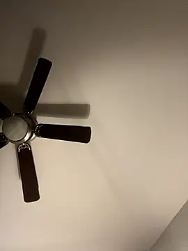 goldbuni online show from December 4, 2024, 2:09 pm