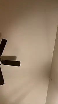 goldbuni online show from December 7, 2024, 12:40 pm