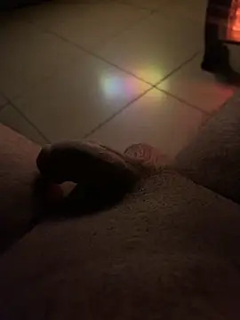 Snapshot of Antalyaburak chatting on February 14, 2025, 1:13 am Antalyaburak online show from February 14, 2025, 1:13 am