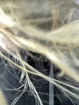 emma neko online show from April 15, 2026, 4:22 pm