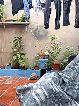 room 24funn online show from November 29, 2025, 3:23 pm