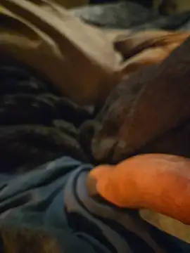 ruffuuss online show from January 10, 2026, 8:09 am