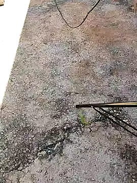 Snapshot of AmGlcasal chatting on January 2, 2025, 4:35 pm AmGlcasal online show from January 2, 2025, 4:35 pm