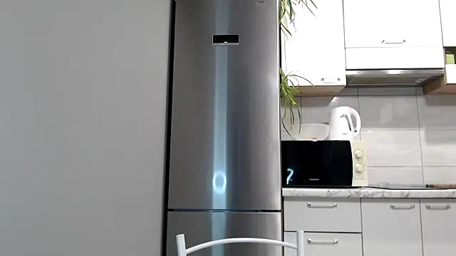 Snapshot of SierraSky_ chatting on February 2, 2025, 6:31 pm SierraSky online show from February 2, 2025, 6:31 pm