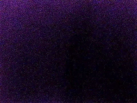 happy sonia online show from December 2, 2025, 11:56 am