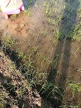 Snapshot of hairipussy2 chatting on February 7, 2025, 10:29 am hairipussy2 online show from February 7, 2025, 10:29 am