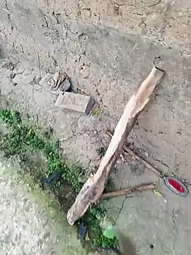 Snapshot of hairipussy2 chatting on March 4, 2025, 12:50 am hairipussy2 online show from March 4, 2025, 12:50 am