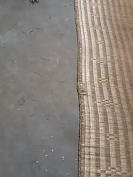 Snapshot of hairipussy2 chatting on February 6, 2025, 1:21 pm hairipussy2 online show from February 6, 2025, 1:21 pm