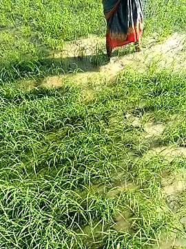 Snapshot of hairipussy2 chatting on February 7, 2025, 3:55 am hairipussy2 online show from February 7, 2025, 3:55 am