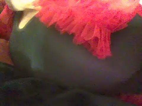 RoxiRedXXX online show from March 8, 2025, 5:01 pm