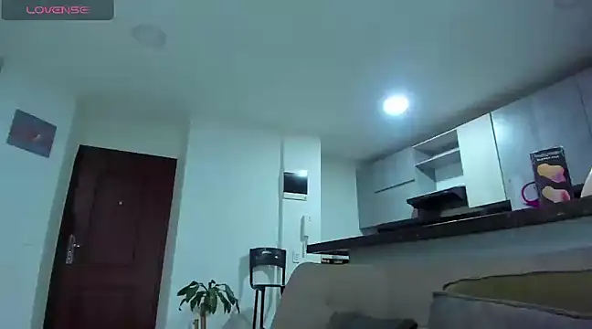 Snapshot of Alexander_Martines chatting on February 19, 2025, 12:25 am Alexander Martines online show from February 19, 2025, 12:25 am