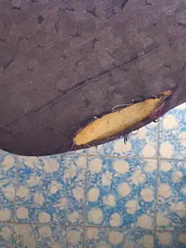 publicsir online show from April 10, 2026, 4:25 pm