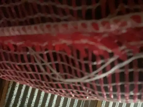 AlexaWarner online show from March 30, 2026, 9:05 pm