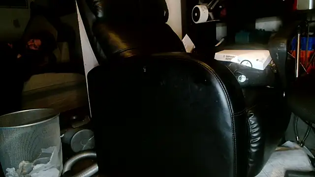 Gigadickman online show from January 2, 2025, 2:54 am