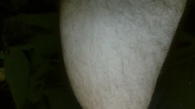 Gigadickman online show from February 27, 2025, 1:30 am