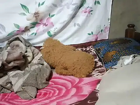 Snapshot of mdivah chatting on November 13, 2025, 6:34 pm mdivah online show from November 13, 2025, 6:34 pm