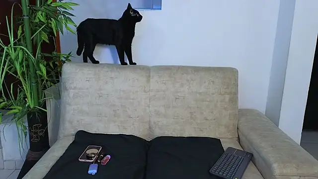 Lorenne Miller online show from March 13, 2026, 3:11 am