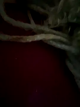 Snapshot of sammoura01 chatting on September 25, 2025, 12:00 pm sammoura01 online show from September 25, 2025, 12:00 pm