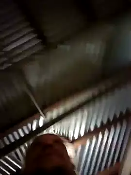 Wildherb244 online show from December 5, 2024, 3:42 am