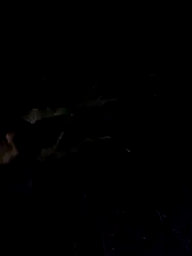 Wildherb244 online show from December 4, 2024, 1:30 am