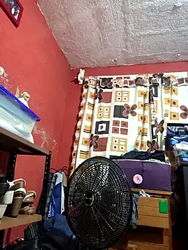 VL25DN26 online show from February 10, 2026, 8:57 am