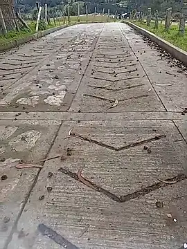 Snapshot of Cuervo_maniaco chatting on October 12, 2025, 4:19 pm Cuervo maniaco online show from October 12, 2025, 4:19 pm