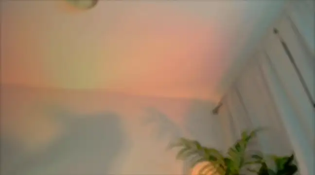 Snapshot of _cherry_bloss_ chatting on March 4, 2025, 12:29 am cherry bloss online show from March 4, 2025, 12:29 am