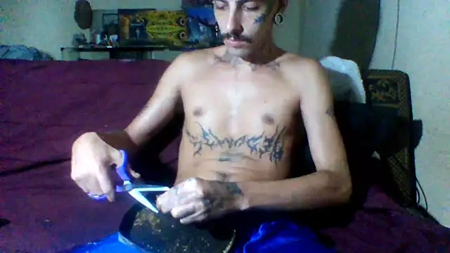 sellvageria online show from February 22, 2026, 11:56 am