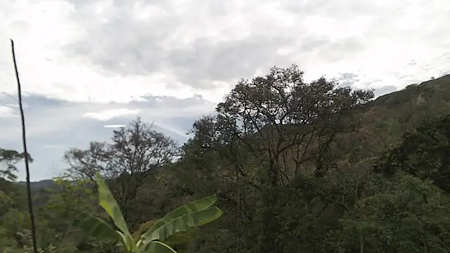 andreu mature online show from October 2, 2025, 2:09 pm