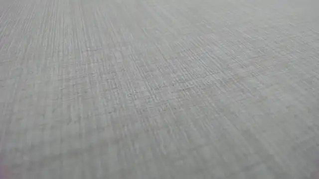 AishaRouhi online show from December 19, 2025, 6:05 am