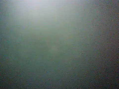 mumbi91 online show from March 11, 2025, 5:02 am