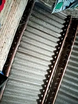 Snapshot of Lukas_strong chatting on September 8, 2025, 3:00 pm Lukas strong online show from September 8, 2025, 3:00 pm