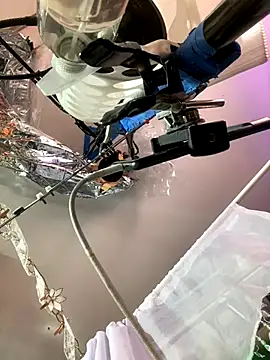 Snapshot of gurlnips chatting on November 26, 2025, 6:35 am gurlnips online show from November 26, 2025, 6:35 am